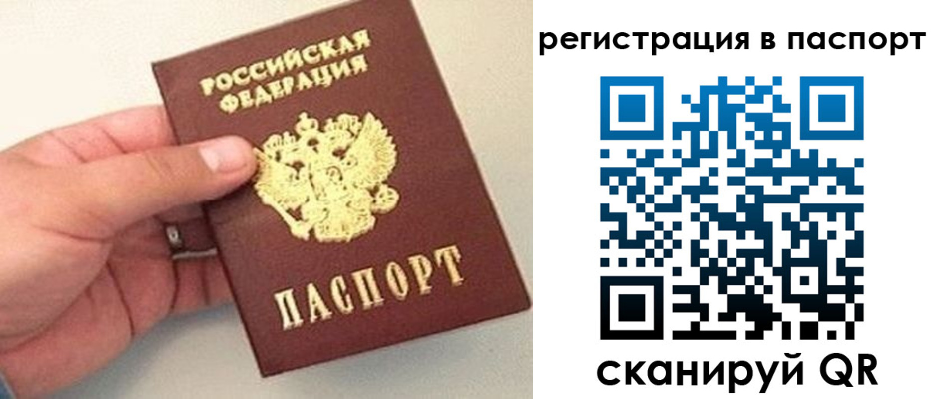прописка законно в Заволжске